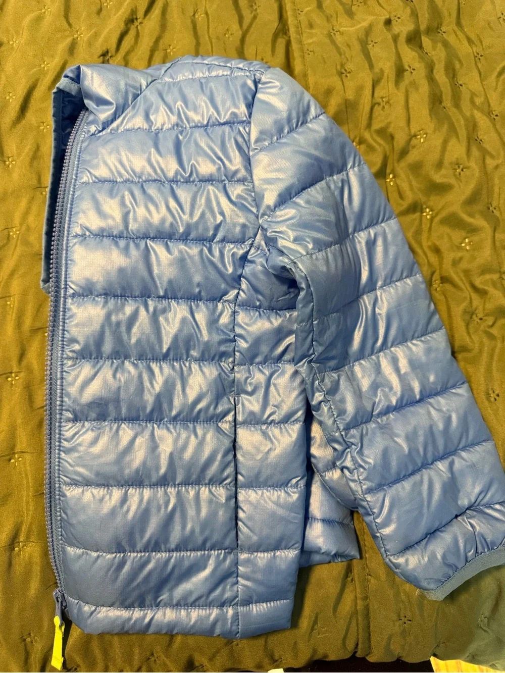 Primary Blue Hooded Puffer Jacket - Blue